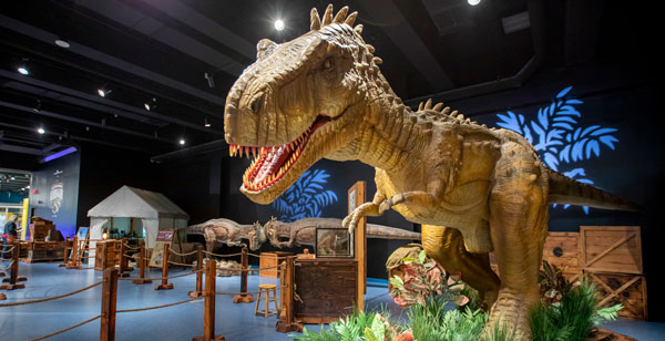 ¿Podríamos clonar un dinosaurio? ¿Podríamos clonar un dinosaurio?
