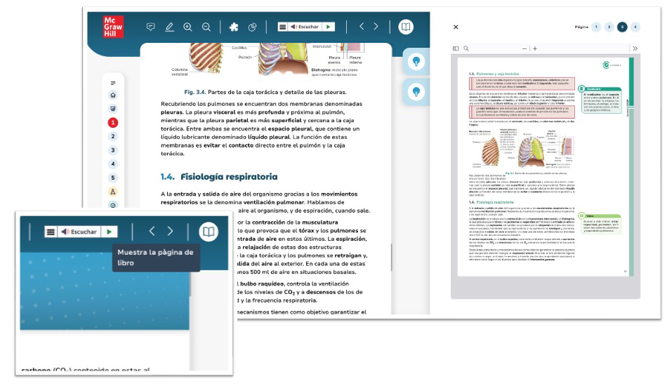 imagen de muestra del visor pdf